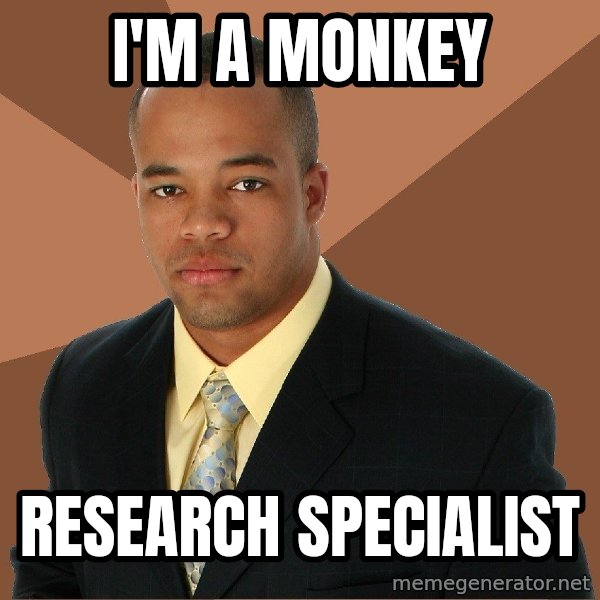 Successful Black Man meme: i'm a monkey / research specialist