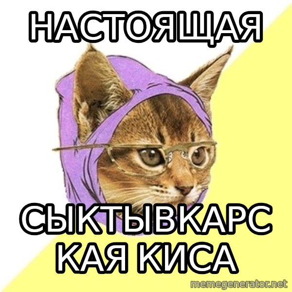 Hipster Kitty meme: настоящая / сыктывкарская киса