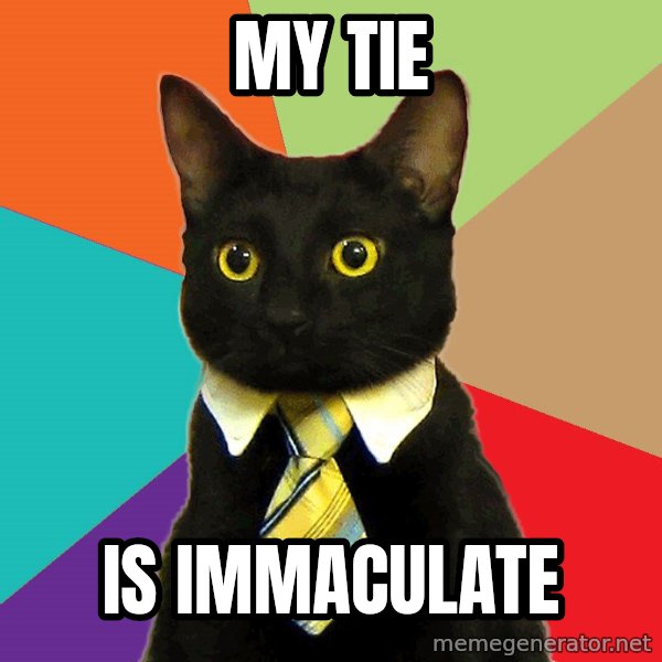Business Cat meme: my tie / is immaculate