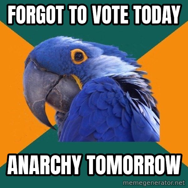 Paranoid Parrot meme: FORGOT TO VOTE TODAY / anarchy TOMORROW