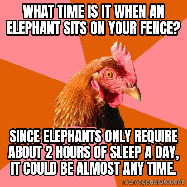 Anti Joke Chicken meme: What time is it when an elephant sits on your fence? / Since elephants only require about 2 hours of sleep a day, it could be almost any time.