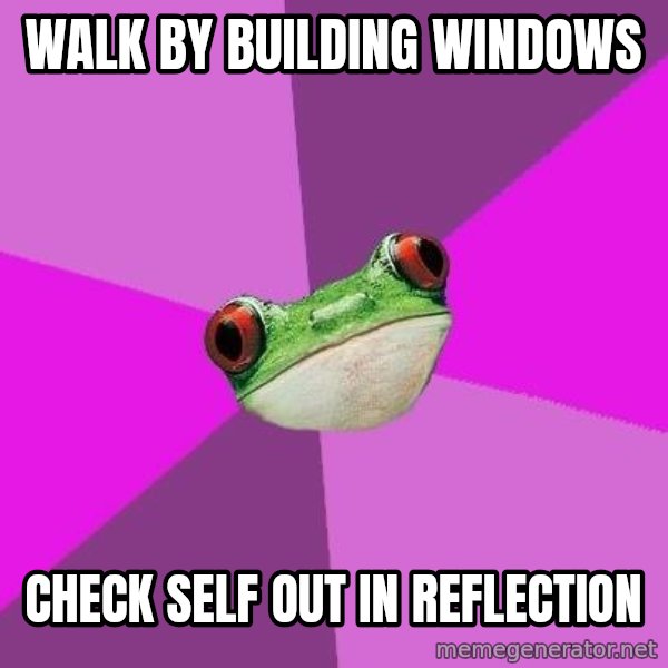 Foul Bachelorette Frog meme: walk by building windows / Check self out in reflection