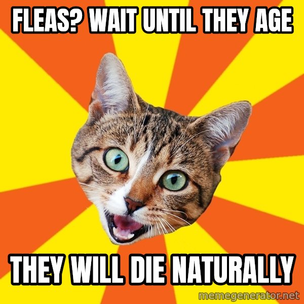 Bad Advice Cat meme: Fleas? wait until they age / They will die naturally