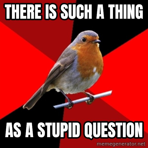 Retail Robin meme: There is such a thing / as a stupid question