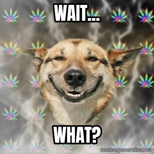 Stoner Dog meme: wait... / what?