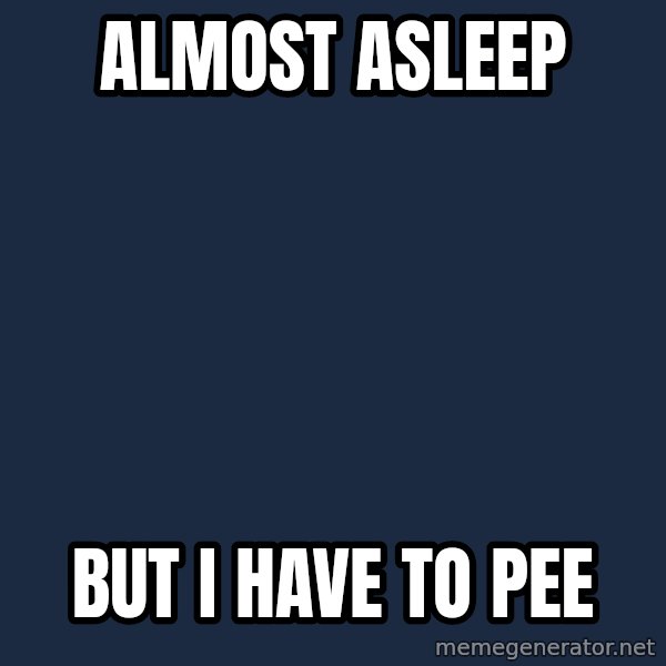 First World Problems meme: Almost asleep / but i have to pee