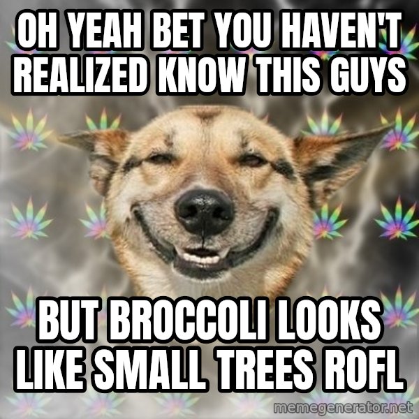 Stoner Dog meme: OH YEAH bet you haven't realized know this guys / but Broccoli looks like small trees rofl