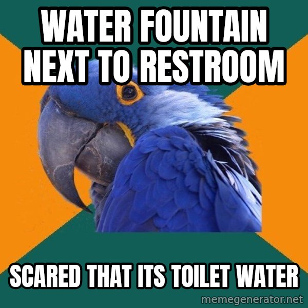 Paranoid Parrot meme: Water fountain next to restroom / scared that its toilet water
