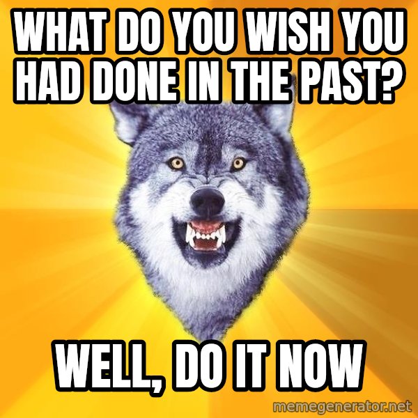 Courage Wolf meme: What do you wish you had done in the past? / Well, do it now