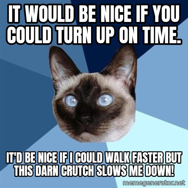 Chronic Illness Cat meme: It would be nice if you could turn up on time. / It'd be nice if I could walk faster but this darn crutch slows me down!