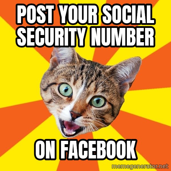 Bad Advice Cat meme: post your social security number / on Facebook