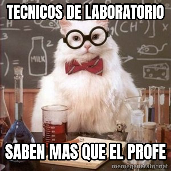 Chemistry Cat meme: tecnicos de laboratorio / saben mas que el profe