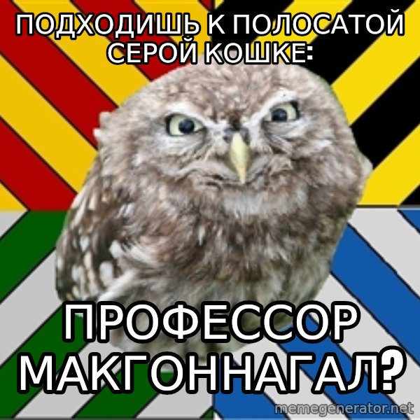 JEALOUS POTTEROMAN meme: ПОДХОДИШЬ К ПОЛОСАТОЙ СЕРОЙ КОШКЕ: / профессор макгоннагал?