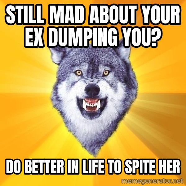 Courage Wolf meme: STILL MAD ABOUT YOUR EX DUMPING YOU? / DO BETTER IN LIFE TO SPITE HER