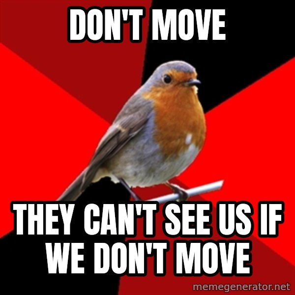Retail Robin meme: don't move / they can't see us if we don't move