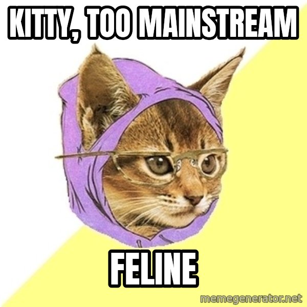 Hipster Kitty meme: kitty, too mainstream / feline