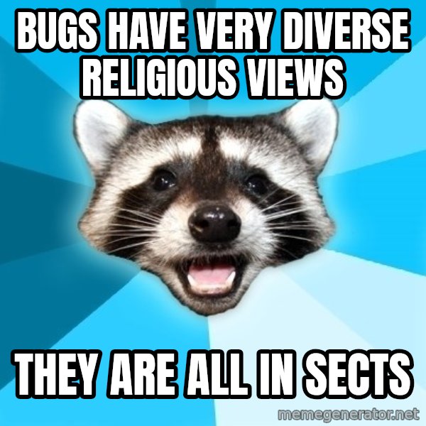 Lame Pun Coon meme: Bugs have very diverse religious views / they are all in sects