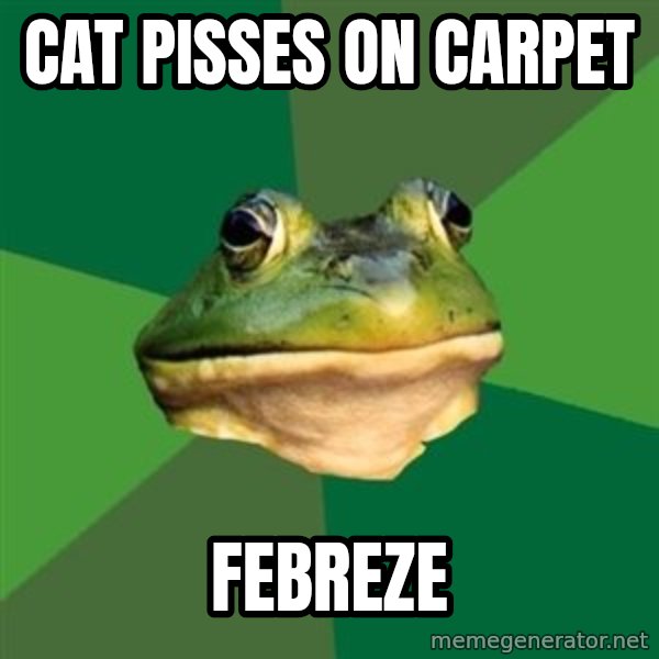 Foul Bachelor Frog meme: cat pisses on carpet / febreze