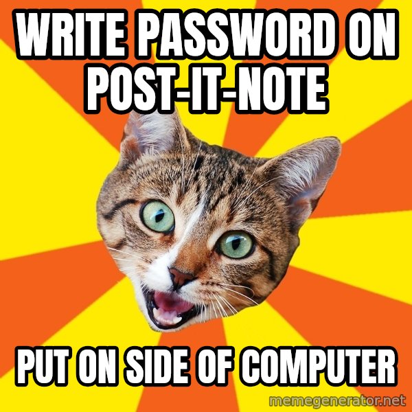 Bad Advice Cat meme: write password on post-it-note / put on side of computer