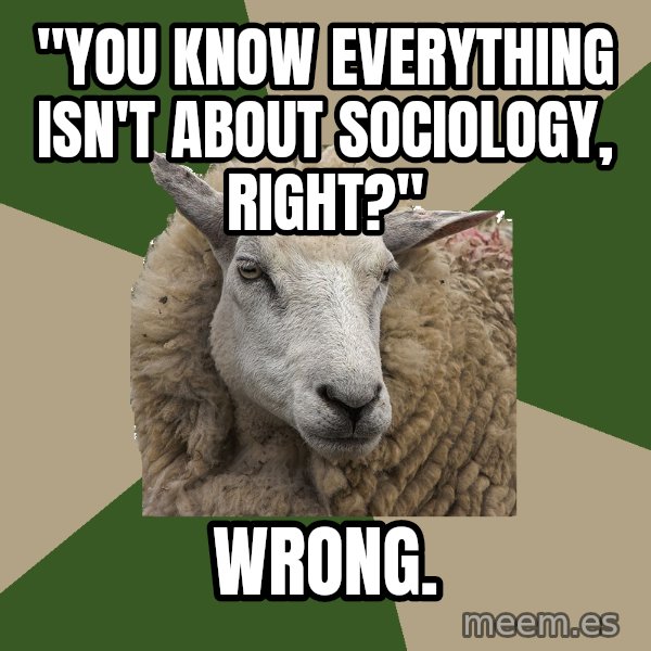 Sociology Student Sheep meme: "You know everything isn't about sociology, right?" / wrong.
