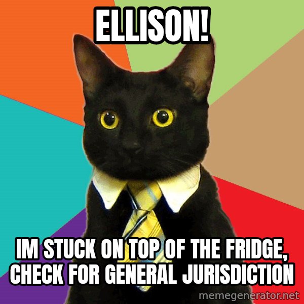 Business Cat meme: Ellison! / im stuck on top of the fridge, check for general jurisdiction