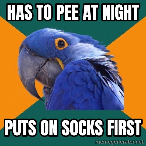 Paranoid Parrot meme: has to pee at night / puts on socks first