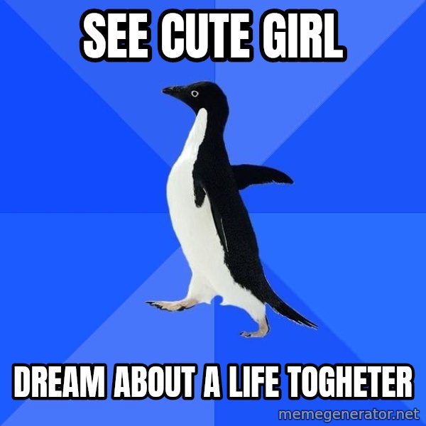 Socially Awkward Penguin meme: see cute girl / dream about a life togheter
