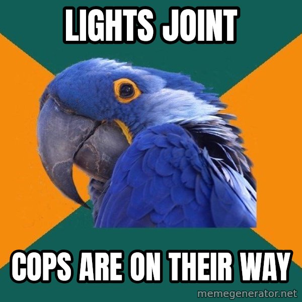 Paranoid Parrot meme: Lights joint / Cops are on their way