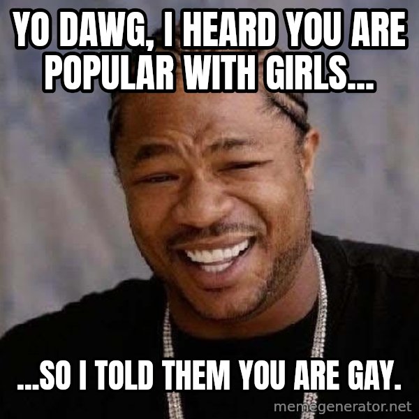 Yo Dawg meme: yo dawg, i heard you are popular with girls... / ...so i told them you are gay.