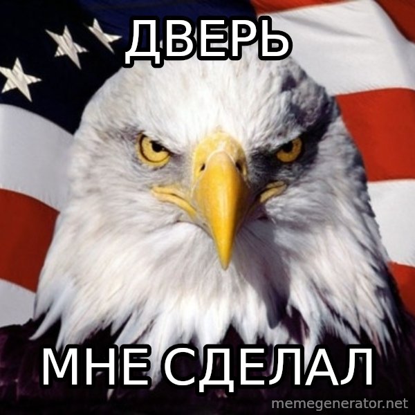 American Pride Eagle meme: дверь / мне сделал