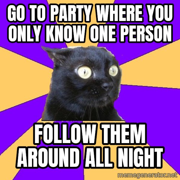 Anxiety Cat meme: go to party where you only know one person / Follow them around all night