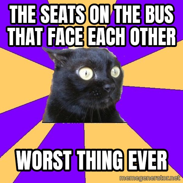 Anxiety Cat meme: the seats on the bus that face each other / worst thing ever