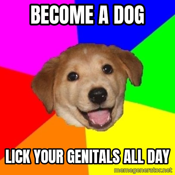 Advice Dog meme: Become a dog / lick your genitals all day