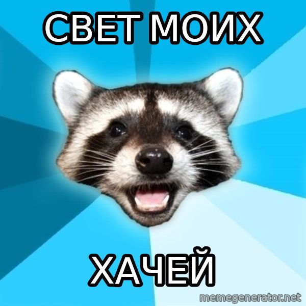 Lame Pun Coon meme: Свет моих / Хачей