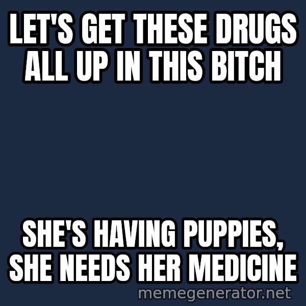 Hood Dad meme: Let's get these drugs all up in this bitch / she's having puppies, she needs her medicine