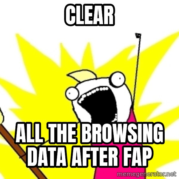 X ALL THE THINGS meme: CLEAR / ALL THE BROWSING DATA after fap