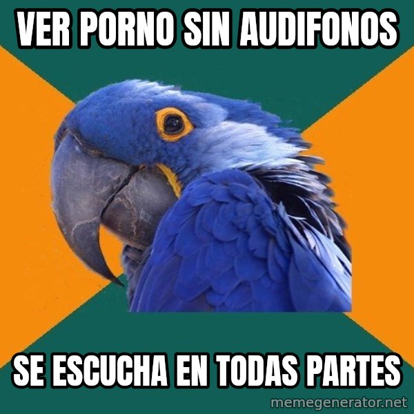 Paranoid Parrot meme: ver porno sin audifonos / se escucha en todas partes