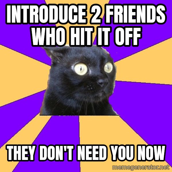 Anxiety Cat meme: Introduce 2 friends who hit it off / They don't need you now
