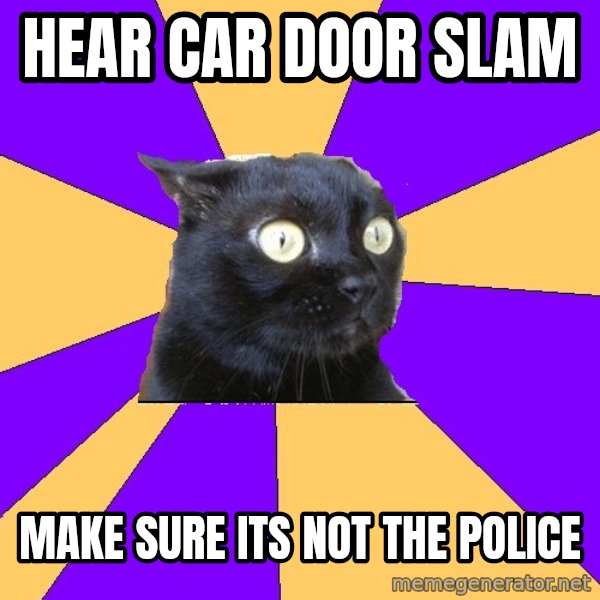 Anxiety Cat meme: Hear car door slam / make sure its not the police