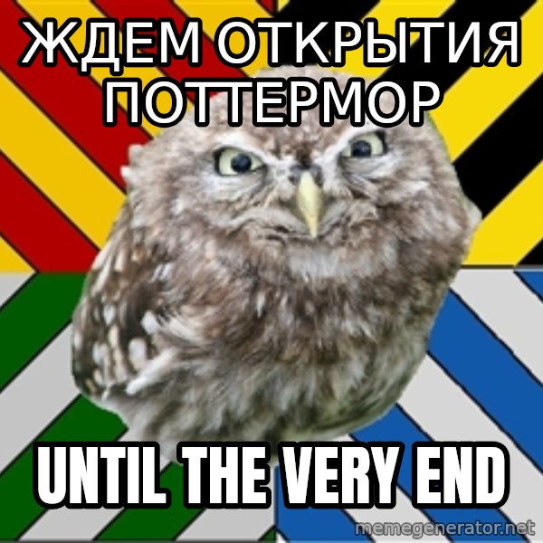 JEALOUS POTTEROMAN meme: ждем открытия поттермор / until the very end