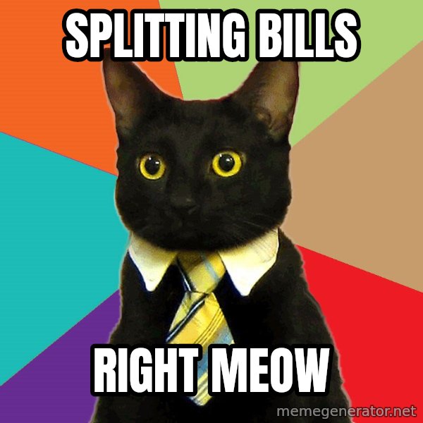 Business Cat meme: Splitting bills / Right meow