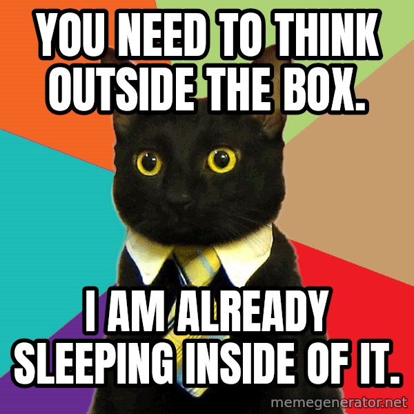 Business Cat meme: you need to think outside the box. / I am already sleeping inside of it.