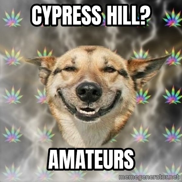 Stoner Dog meme: Cypress hill? / Amateurs