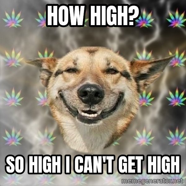 Stoner Dog meme: How high? / So high i can't get high