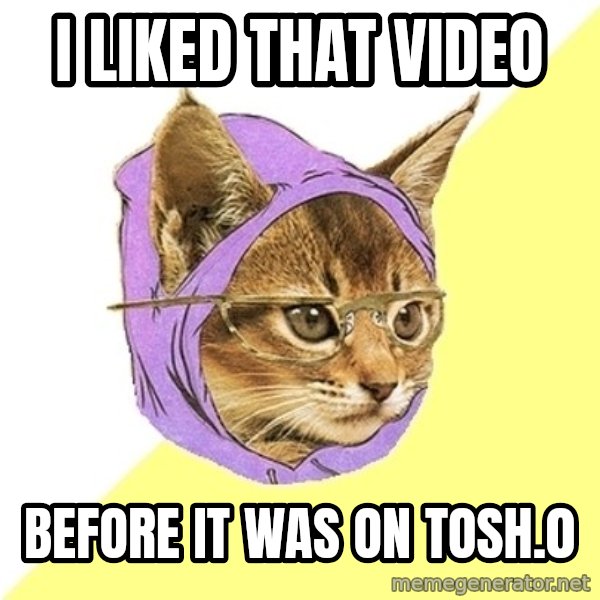 Hipster Kitty meme: I liked that video / before it was on tosh.0