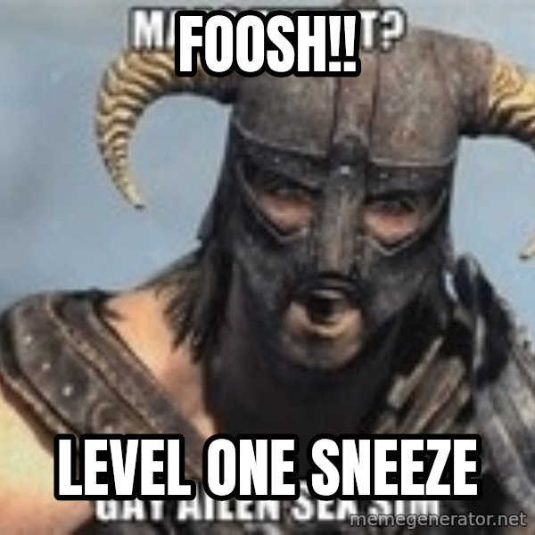 Skyrim Meme Generator meme: FOOSH!! / LEVEL ONE SNEEZE