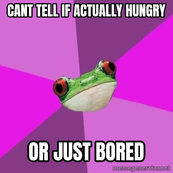 Foul Bachelorette Frog meme: cant tell if actually hungry / or just bored
