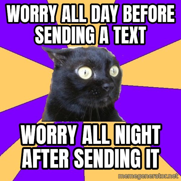 Anxiety Cat meme: Worry all day before sending a text / worry all night after sending it