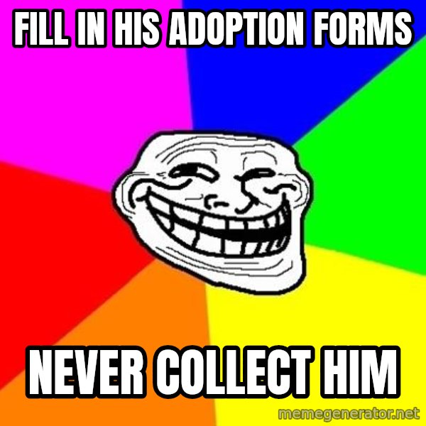 Trollface meme: FILL IN HIS ADOPTION FORMS / NEVER COLLECT HIM