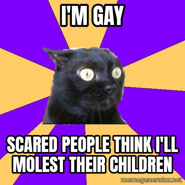 Anxiety Cat meme: i'm gay / scared people think i'll molest their children